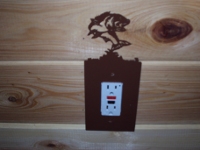Bass-outlet-cover